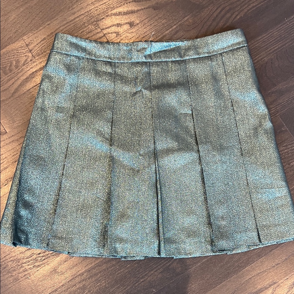 Aritzia Metallic Mini Skirt